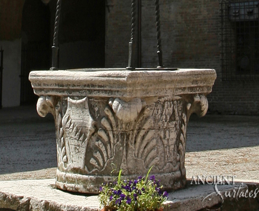 Ancient grape vine motif stone Well head reclaied from Italy with old hand twisted metal work 
